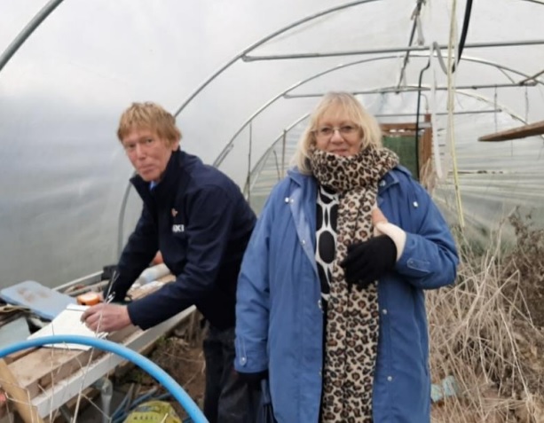 Greenhouse Photo